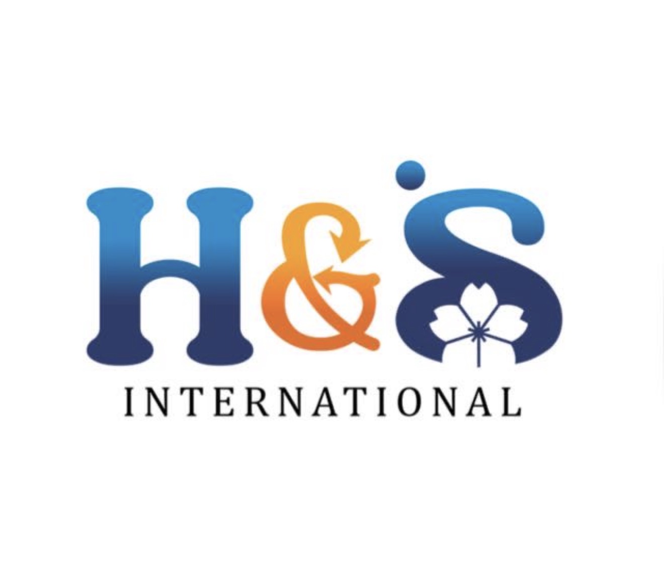 H and S international (pvt) ltd
 Logo